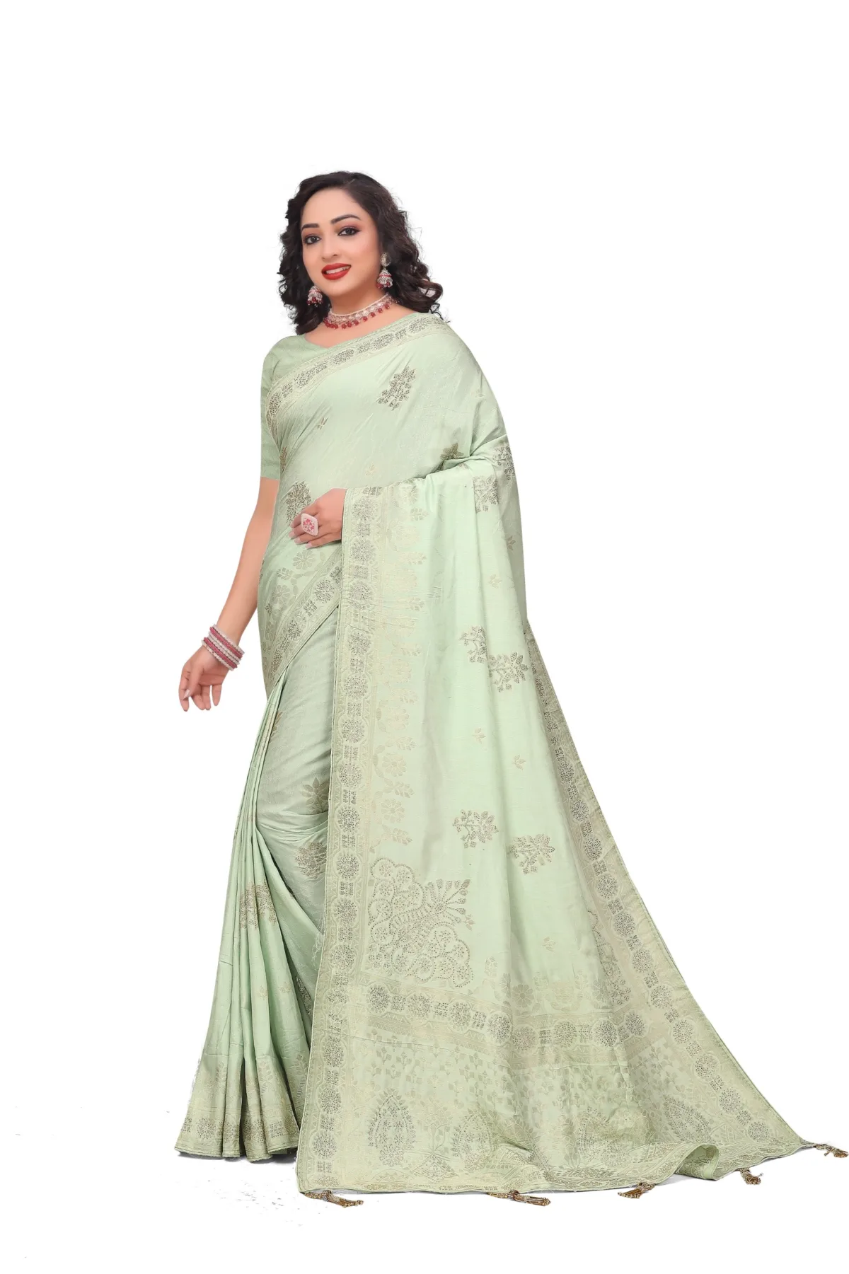 Mint green saree with beautiful woven zari border design